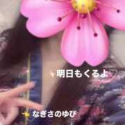 ヒメ日記 2025/05/03 19:37 投稿 さくら 三つ乱本館