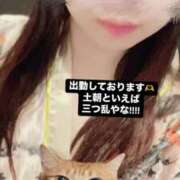 ヒメ日記 2025/05/10 08:07 投稿 さくら 三つ乱本館