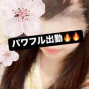 ヒメ日記 2025/05/11 06:17 投稿 さくら 三つ乱本館