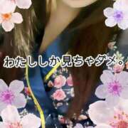 ヒメ日記 2025/05/13 06:27 投稿 さくら 三つ乱本館