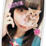 ヒメ日記 2025/05/16 01:27 投稿 さくら 三つ乱本館