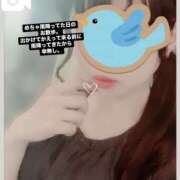 ヒメ日記 2025/05/16 07:27 投稿 さくら 三つ乱本館