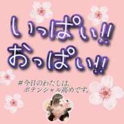 ヒメ日記 2025/05/21 06:47 投稿 さくら 三つ乱本館