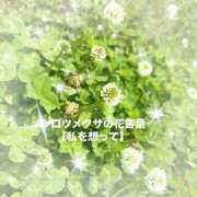 ヒメ日記 2025/05/23 12:47 投稿 さくら 三つ乱本館