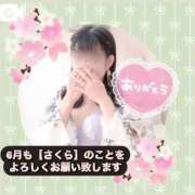 ヒメ日記 2025/06/01 05:27 投稿 さくら 三つ乱本館