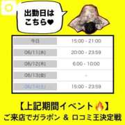 ヒメ日記 2025/06/10 12:27 投稿 さくら 三つ乱本館
