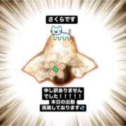 ヒメ日記 2025/06/14 15:27 投稿 さくら 三つ乱本館