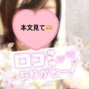 ヒメ日記 2025/06/15 16:27 投稿 さくら 三つ乱本館