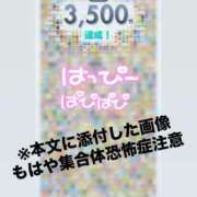 ヒメ日記 2025/06/19 19:17 投稿 さくら 三つ乱本館