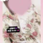 ヒメ日記 2025/06/28 18:07 投稿 さくら 三つ乱本館