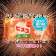 ヒメ日記 2025/07/12 00:47 投稿 さくら 三つ乱本館
