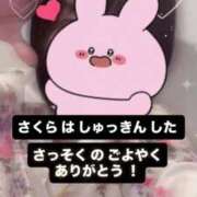 ヒメ日記 2025/07/13 07:17 投稿 さくら 三つ乱本館