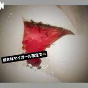 ヒメ日記 2025/07/17 04:47 投稿 さくら 三つ乱本館