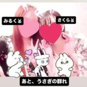 ヒメ日記 2025/07/19 17:47 投稿 さくら 三つ乱本館