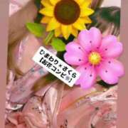 ヒメ日記 2025/07/25 12:47 投稿 さくら 三つ乱本館