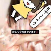 ヒメ日記 2025/07/31 07:07 投稿 さくら 三つ乱本館