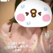 ヒメ日記 2025/08/06 13:47 投稿 さくら 三つ乱本館