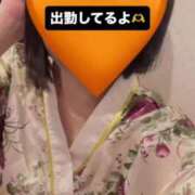 ヒメ日記 2025/08/14 21:37 投稿 さくら 三つ乱本館