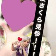 ヒメ日記 2025/08/16 19:47 投稿 さくら 三つ乱本館