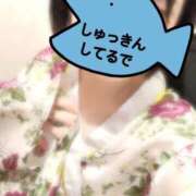 ヒメ日記 2025/08/22 21:57 投稿 さくら 三つ乱本館