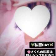 ヒメ日記 2025/08/29 00:17 投稿 さくら 三つ乱本館