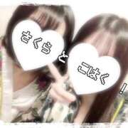 ヒメ日記 2025/09/11 19:47 投稿 さくら 三つ乱本館