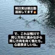 ヒメ日記 2025/09/11 21:27 投稿 さくら 三つ乱本館