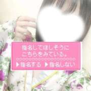 ヒメ日記 2025/09/11 21:47 投稿 さくら 三つ乱本館