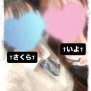 ヒメ日記 2025/09/25 01:47 投稿 さくら 三つ乱本館