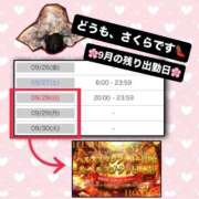 ヒメ日記 2025/09/25 12:17 投稿 さくら 三つ乱本館