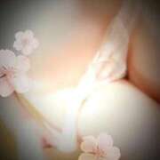 ヒメ日記 2025/10/07 00:57 投稿 さくら 三つ乱本館