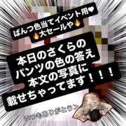 ヒメ日記 2025/10/09 05:57 投稿 さくら 三つ乱本館