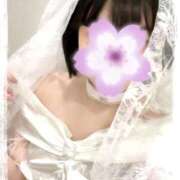 ヒメ日記 2025/10/11 04:47 投稿 さくら 三つ乱本館