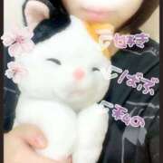 ヒメ日記 2025/10/12 00:17 投稿 さくら 三つ乱本館