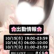 ヒメ日記 2025/10/13 21:37 投稿 さくら 三つ乱本館