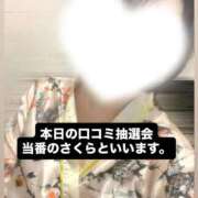 ヒメ日記 2025/10/18 07:19 投稿 さくら 三つ乱本館
