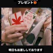 ヒメ日記 2025/12/03 21:27 投稿 さくら 三つ乱本館