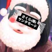 さくら サンタってこういう感じ？(違う) 三つ乱本館