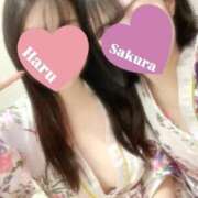 ヒメ日記 2026/01/08 09:37 投稿 さくら 三つ乱本館