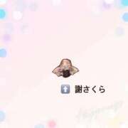 ヒメ日記 2026/01/28 16:47 投稿 さくら 三つ乱本館