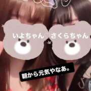 ヒメ日記 2026/01/29 10:28 投稿 さくら 三つ乱本館