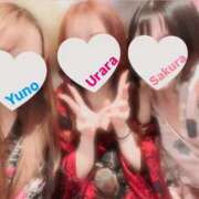 ヒメ日記 2026/02/22 22:37 投稿 さくら 三つ乱本館