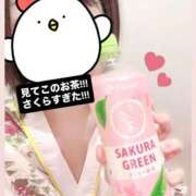 ヒメ日記 2026/02/24 00:57 投稿 さくら 三つ乱本館