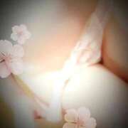 ヒメ日記 2026/02/27 22:17 投稿 さくら 三つ乱本館