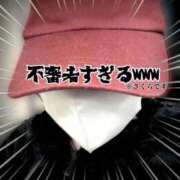 ヒメ日記 2026/02/28 04:47 投稿 さくら 三つ乱本館