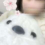 ヒメ日記 2026/03/08 00:04 投稿 さくら 三つ乱本館