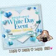 ヒメ日記 2026/03/10 18:57 投稿 さくら 三つ乱本館