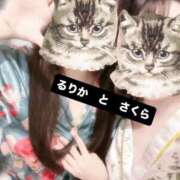 ヒメ日記 2026/03/12 00:47 投稿 さくら 三つ乱本館