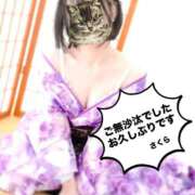 ヒメ日記 2026/04/04 17:47 投稿 さくら 三つ乱本館