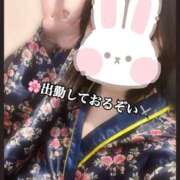 ヒメ日記 2026/04/15 20:57 投稿 さくら 三つ乱本館